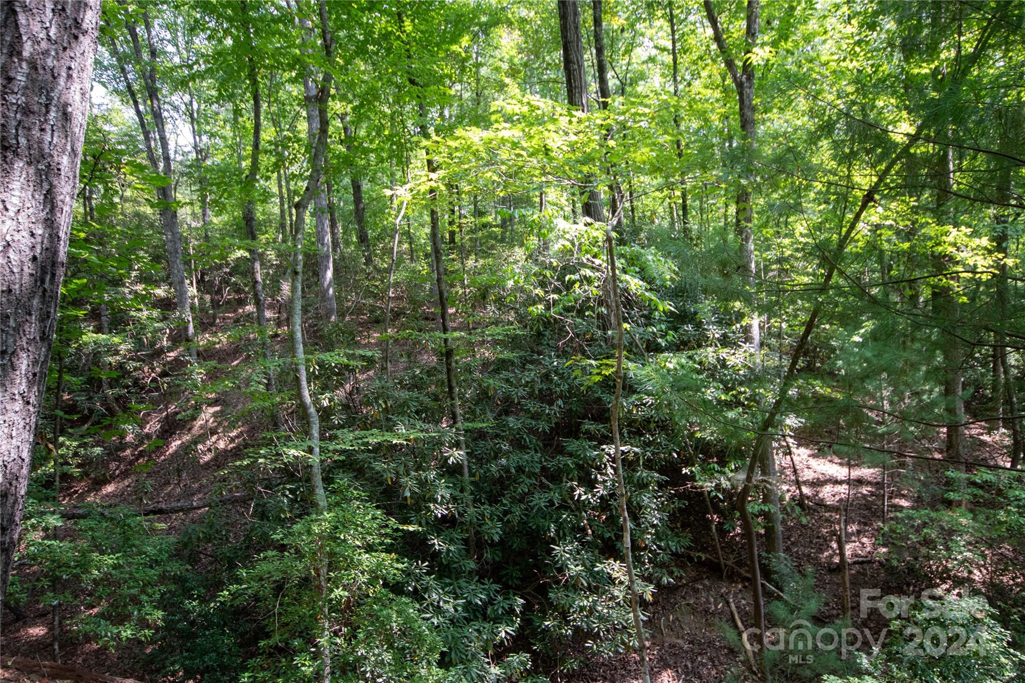 Lot#11 Bridle Ridge Way, Unit 11 Lenoir, NC 28645 - Photo 21 of 33 Gallery Image 21