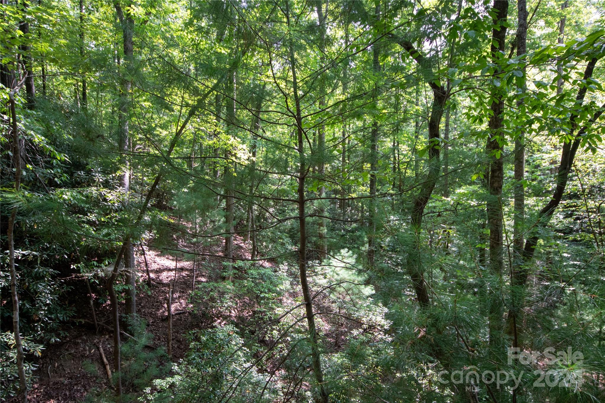 Lot#11 Bridle Ridge Way, Unit 11 Lenoir, NC 28645 - Photo 22 of 33 Gallery Image 22