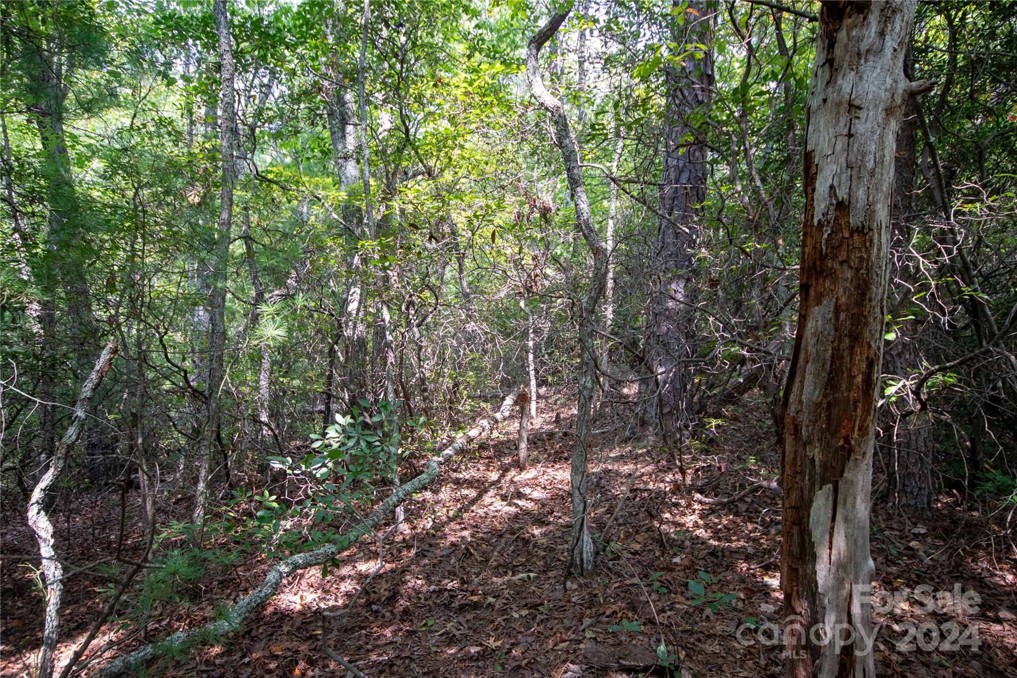 Lot#11 Bridle Ridge Way, Unit 11 Lenoir, NC 28645 - Photo 27 of 33 Gallery Image 27