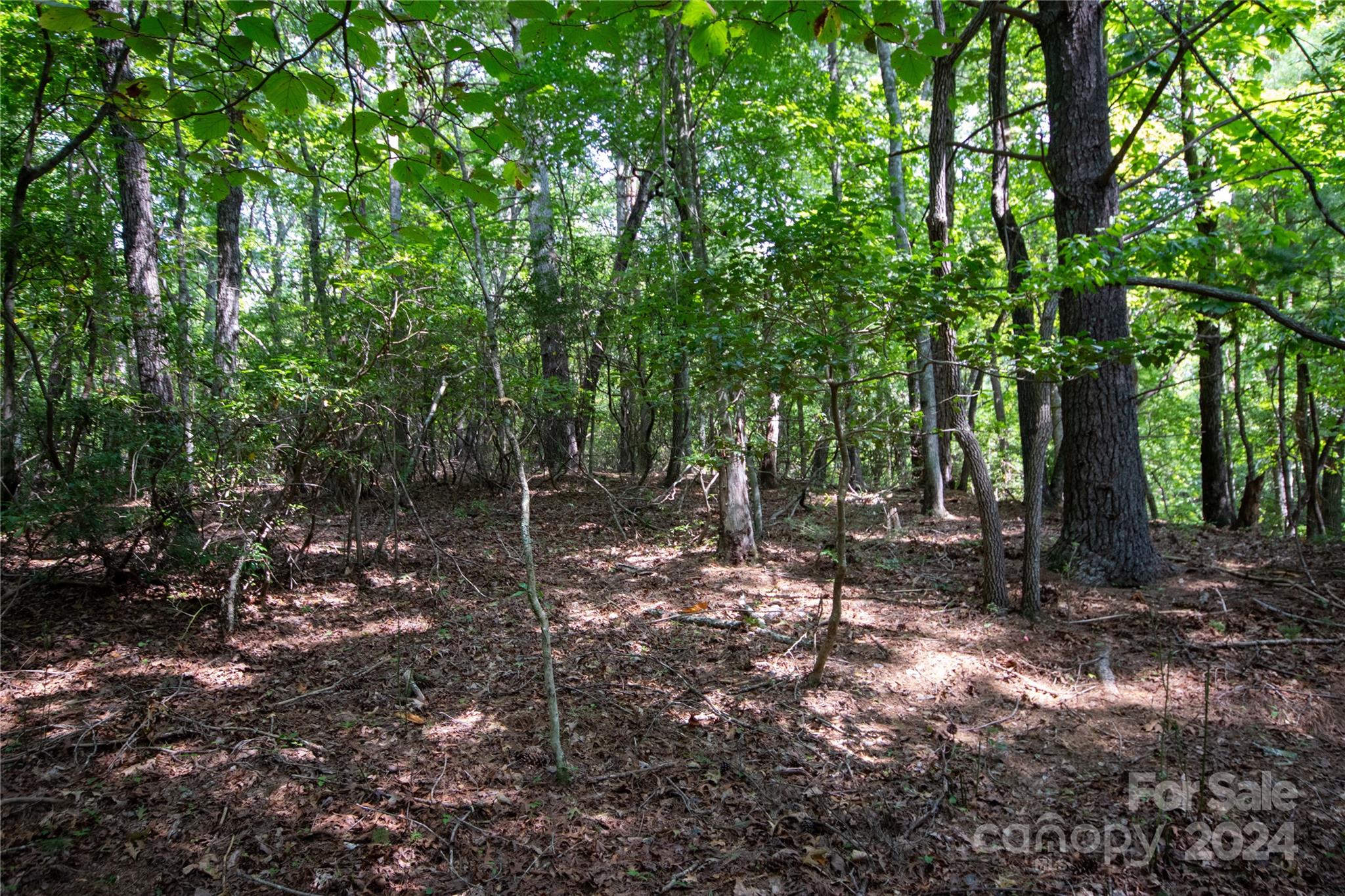 Lot#11 Bridle Ridge Way, Unit 11 Lenoir, NC 28645 - Photo 3 of 33 Gallery Image 3
