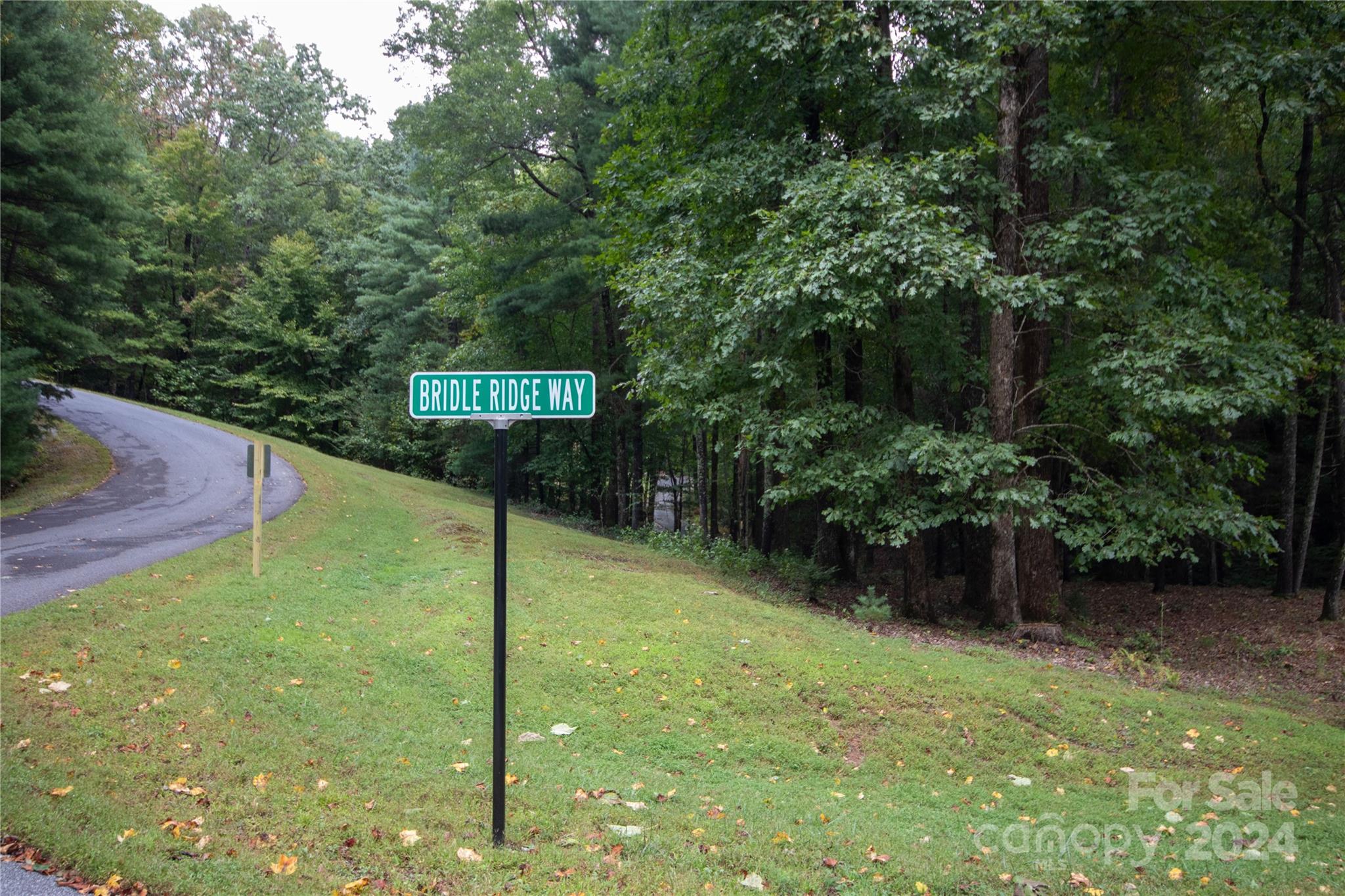 Lot#11 Bridle Ridge Way, Unit 11 Lenoir, NC 28645 - Photo 7 of 33 Gallery Image 7