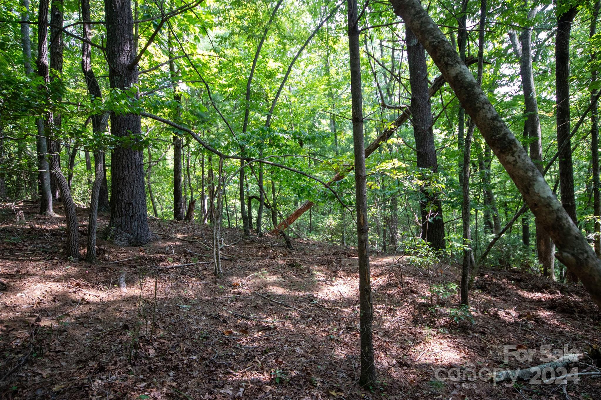 Lot#11 Bridle Ridge Way, Unit 11 Lenoir, NC 28645 - Photo 9 of 33 Gallery Image 9