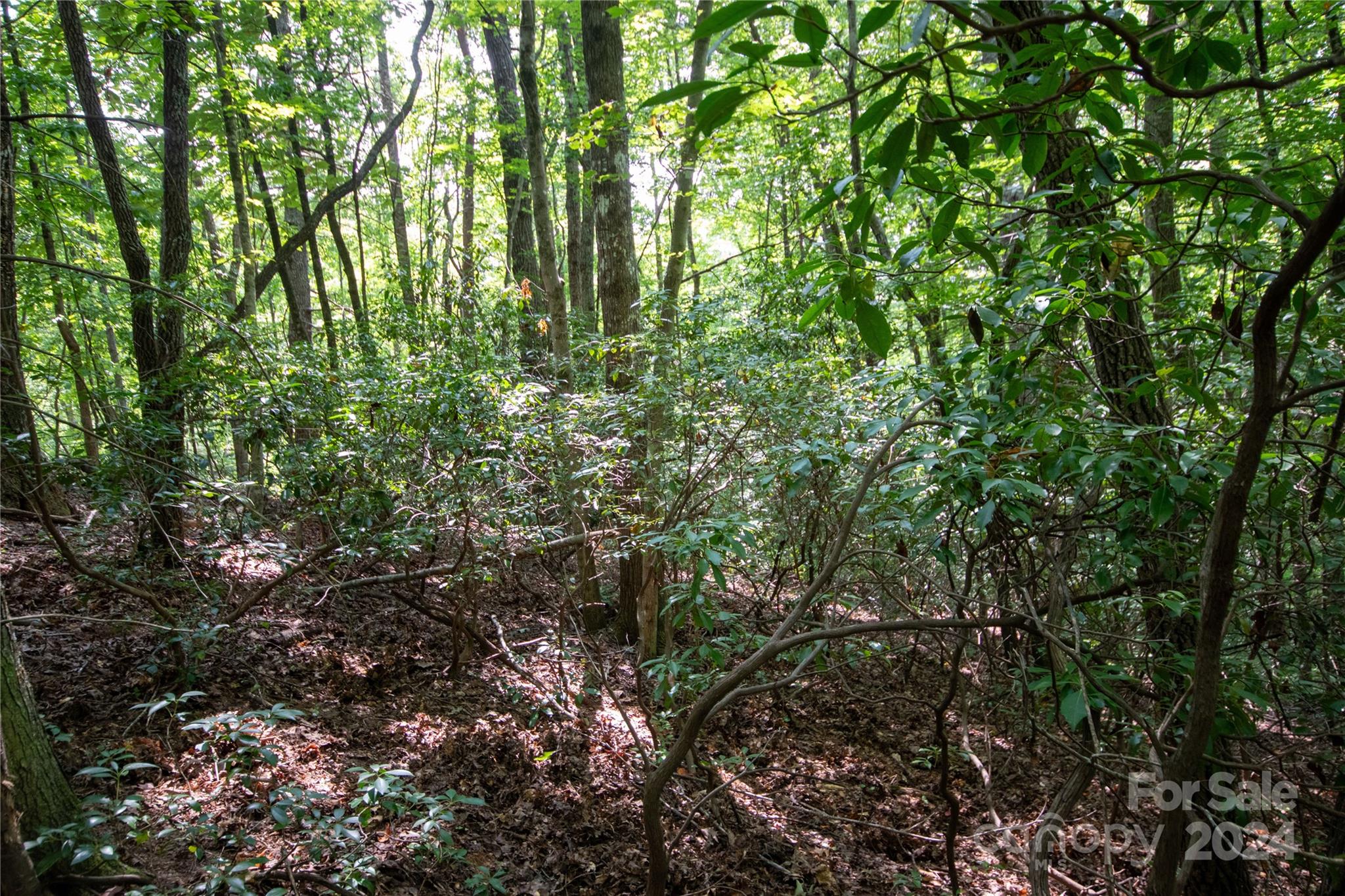 Lot#11 Bridle Ridge Way, Unit 11 Lenoir, NC 28645 - Photo 10 of 33 Gallery Image 10