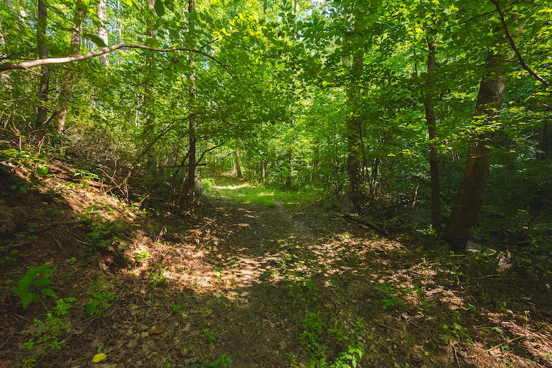 1423 North Fork Road Stuart, VA 24171 - Photo 58 of 78 DSC03521