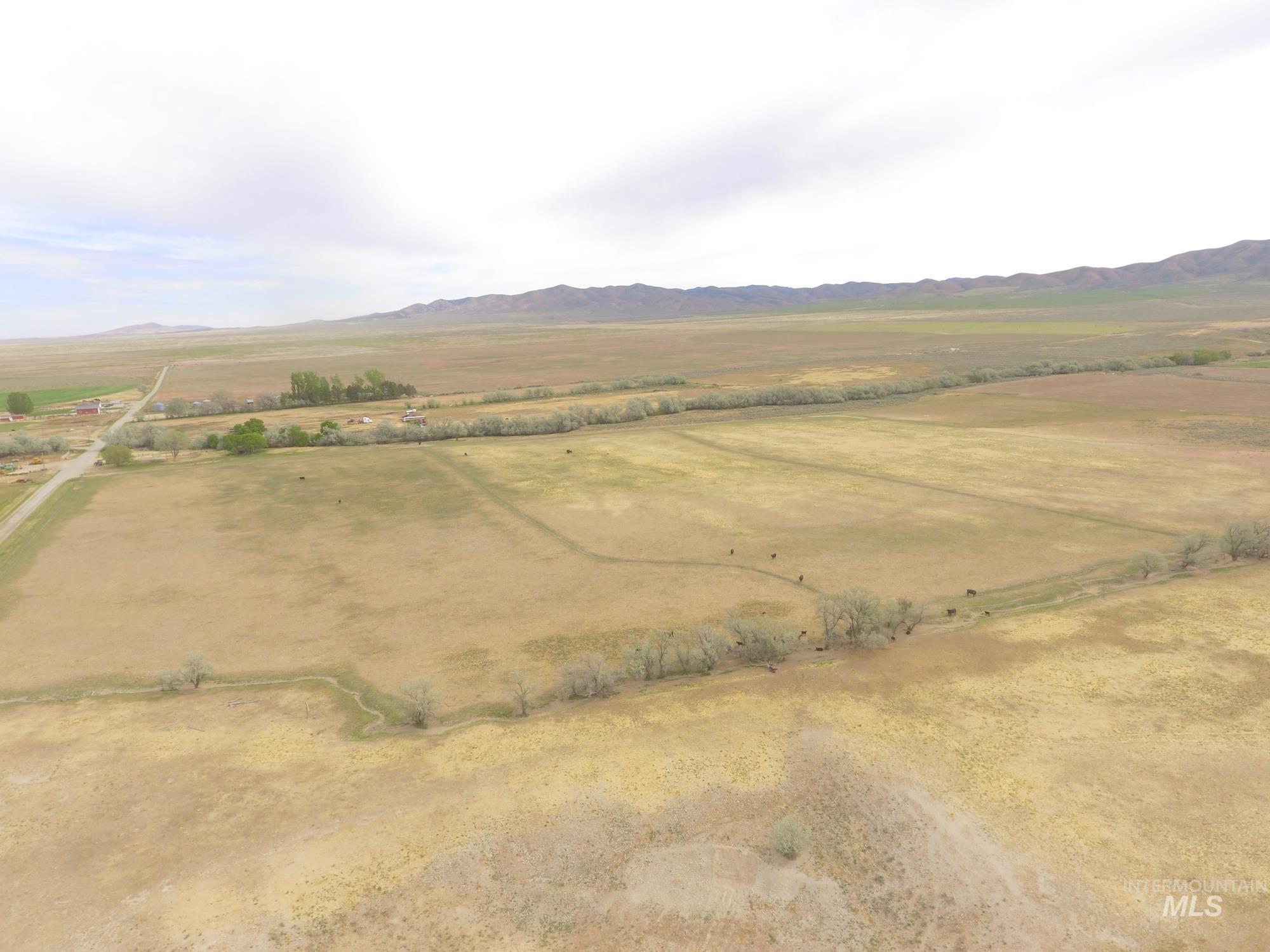 1000 S Malta, ID 83342 - Photo 7 of 7