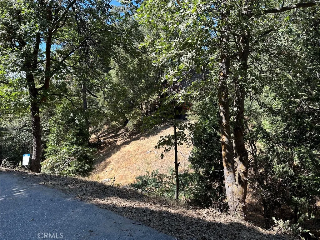 24960 Saxon Crestline, CA 92325 - Photo 1 of 7 a view of tree