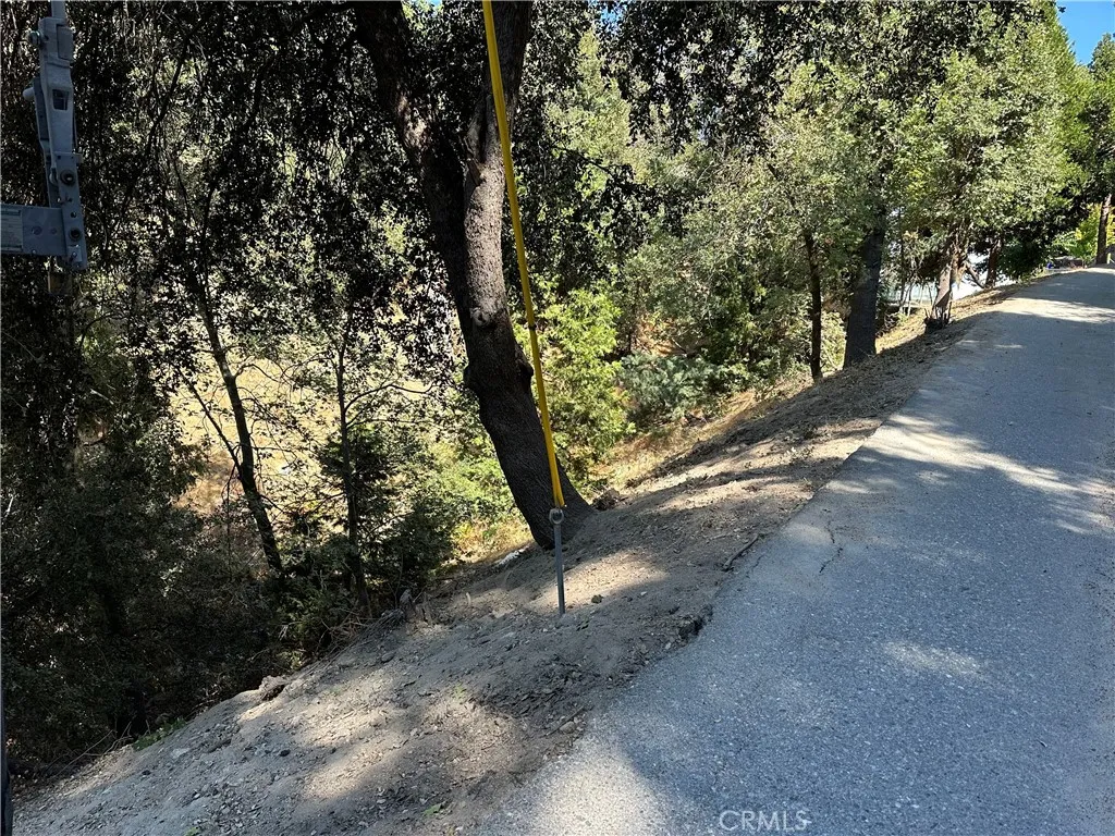 24960 Saxon Crestline, CA 92325 - Photo 4 of 7 a view of a forest with trees
