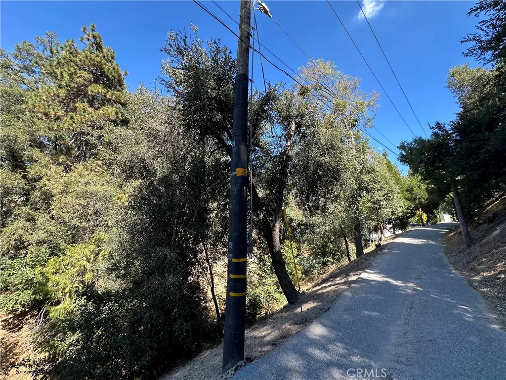 24960 Saxon Crestline, CA 92325 - Photo 5 of 7 a view of a yard
