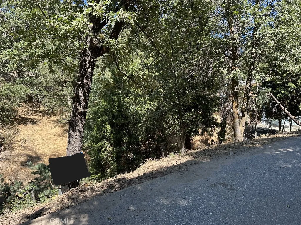 24960 Saxon Crestline, CA 92325 - Photo 7 of 7 an outdoor space with lots of trees