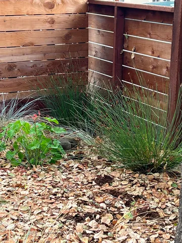 $6,250 | 2718 Durant Avenue, Unit B, Berkeley, CA 94704