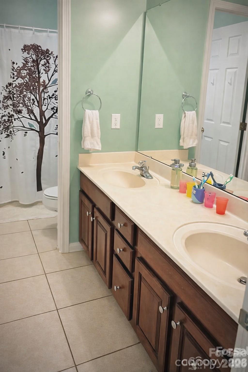 8006 Fine Robe Drive Indian Trail, NC 28079 - Photo 20 of 25 a bathroom with a sink and a mirror