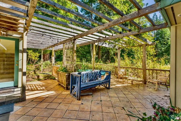 a view of a backyard with plants and large trees