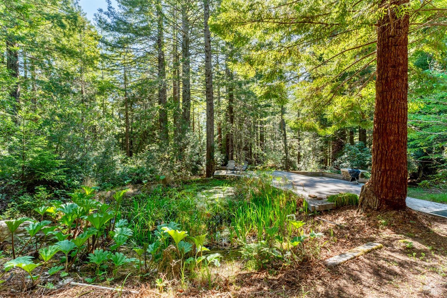 33100 Frog Pond Road Little River, CA 95456 - Photo 42 of 48 Garden Detail