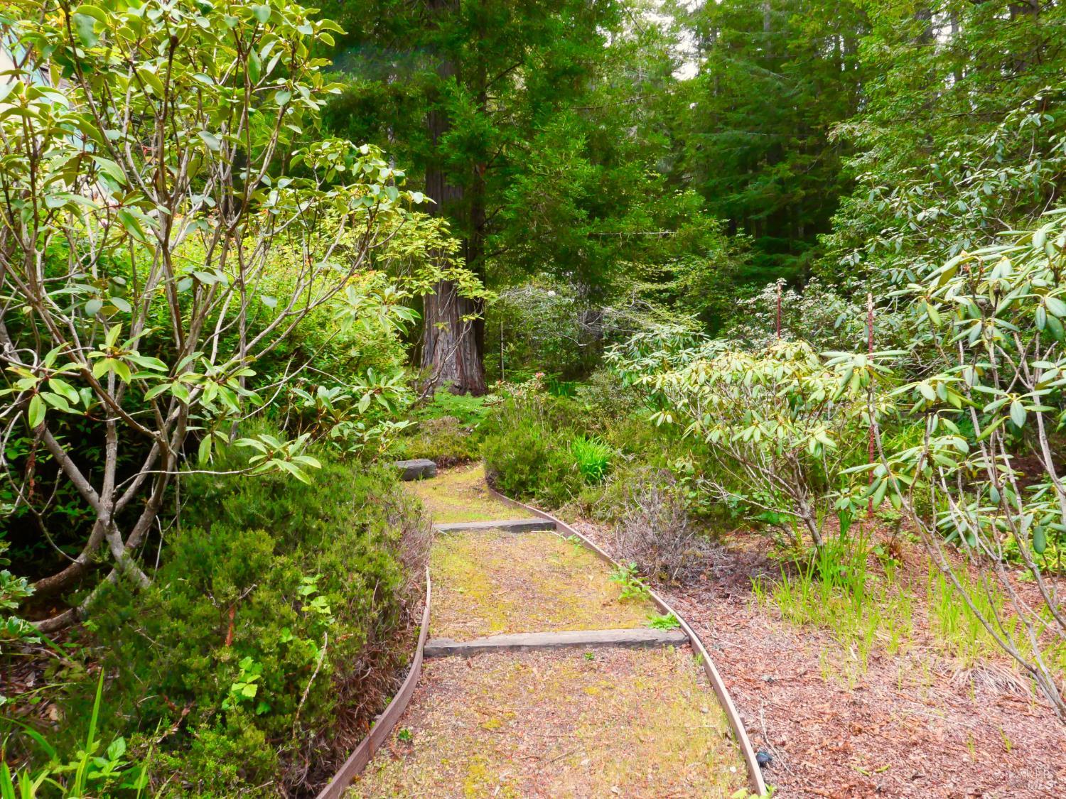 33100 Frog Pond Road Little River, CA 95456 - Photo 43 of 47 a view of a garden