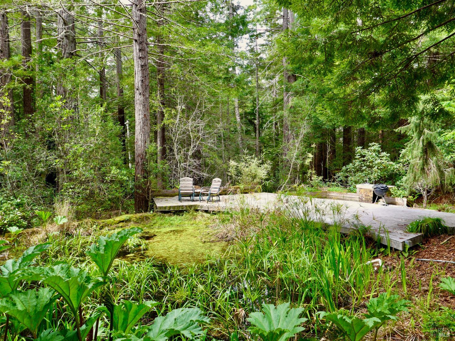 33100 Frog Pond Road Little River, CA 95456 - Photo 43 of 48 Deck and Pond