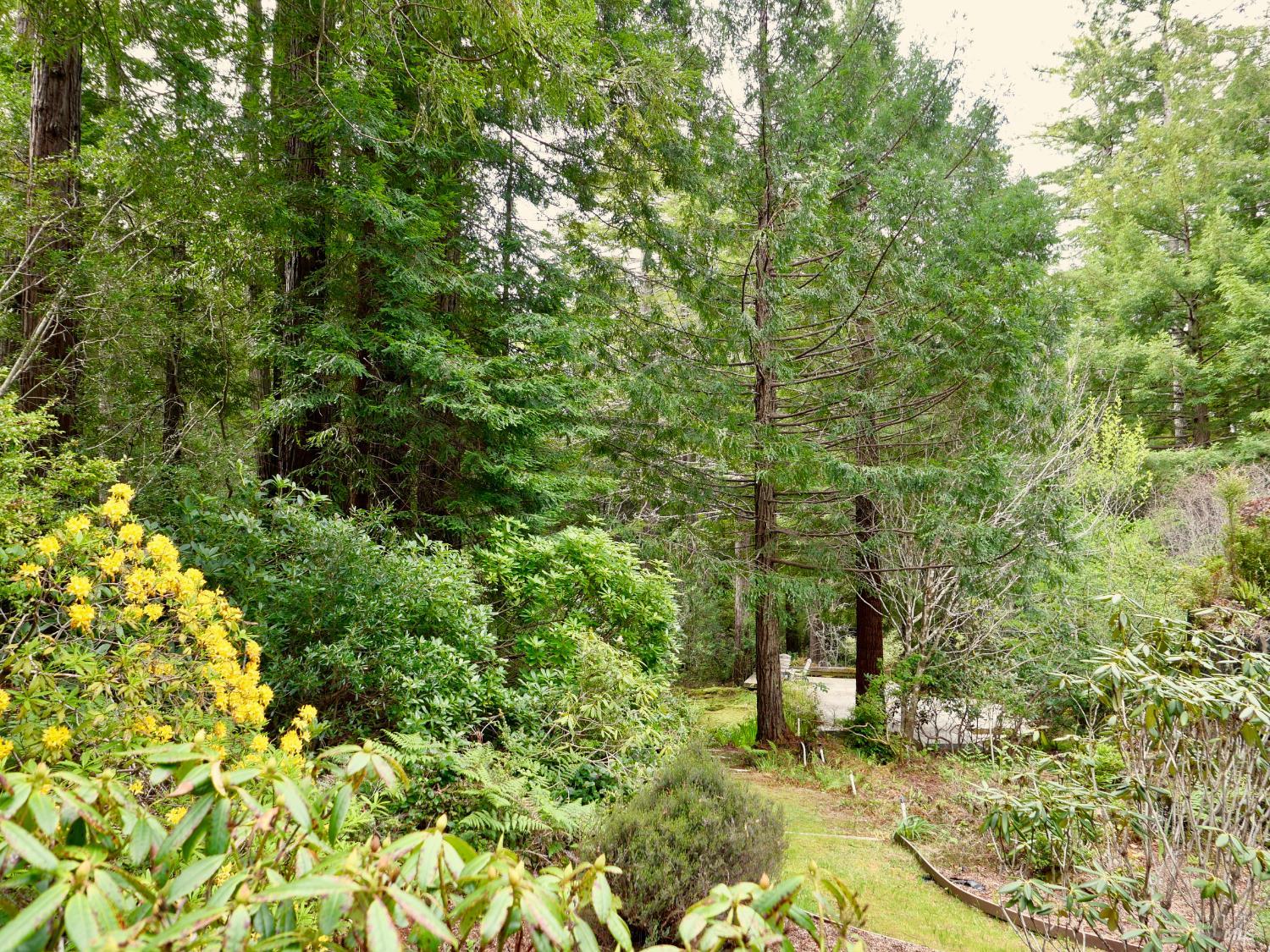 33100 Frog Pond Road Little River, CA 95456 - Photo 46 of 48 Garden Path