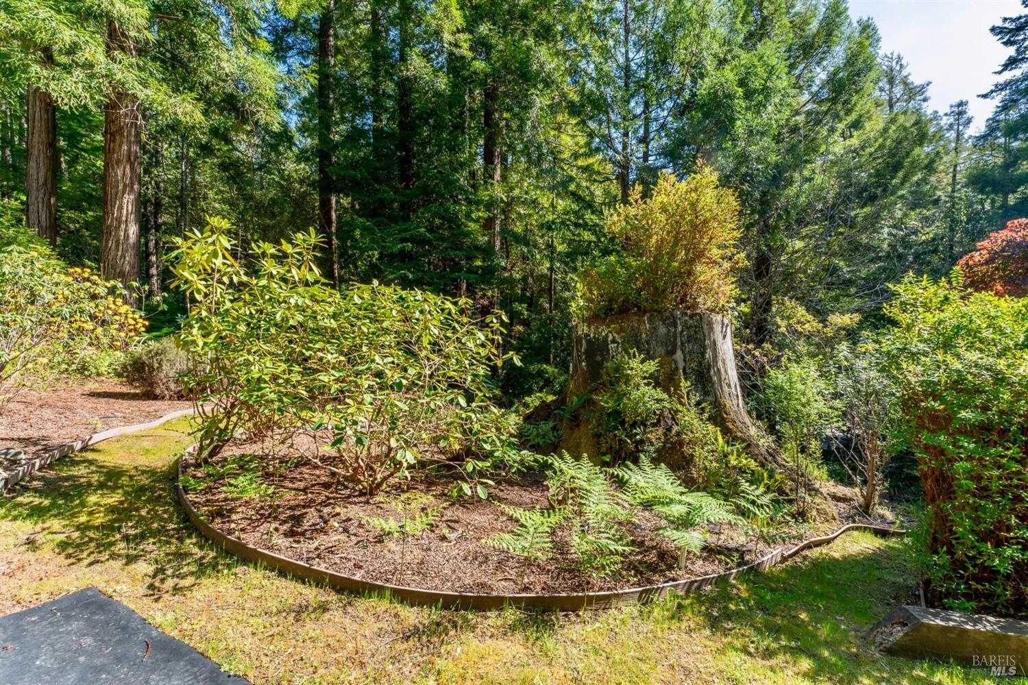 33100 Frog Pond Road Little River, CA 95456 - Photo 47 of 48 Garden Detail