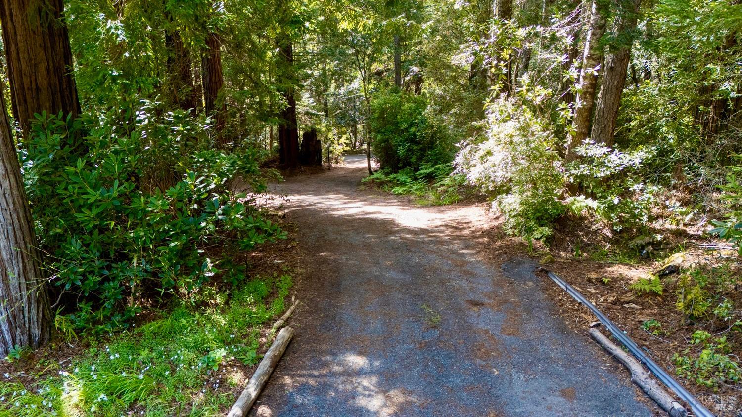 33100 Frog Pond Road Little River, CA 95456 - Photo 5 of 48 Private Driveway