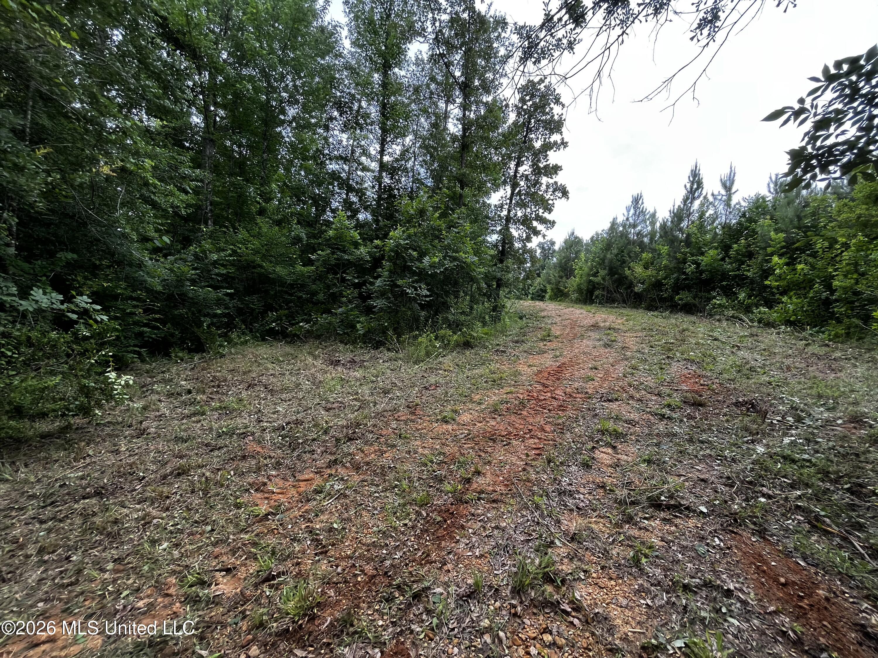 Cline Road Wesson, MS 39191 - Photo 16 of 16 IMG_1146