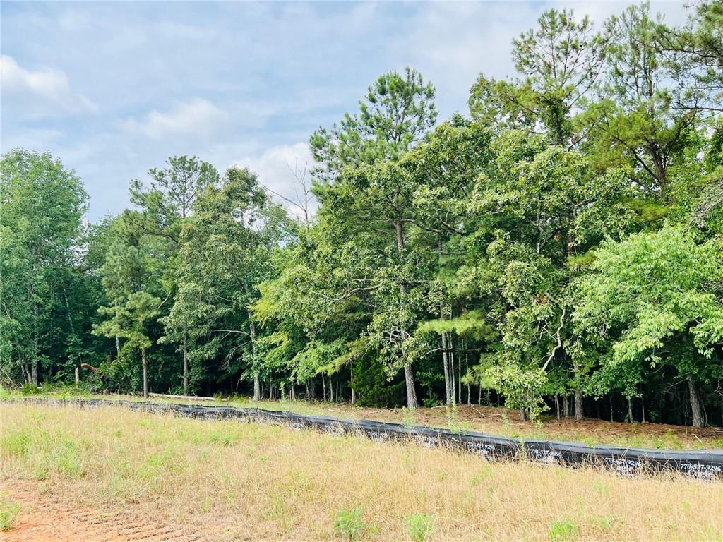 134 Daniel Ridge Southwest Cartersville, GA 30120 - Photo 3 of 3