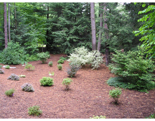 107 Loomis Ridge Road Westfield, MA 01085 - Photo 20 of 20 Gallery Image 20