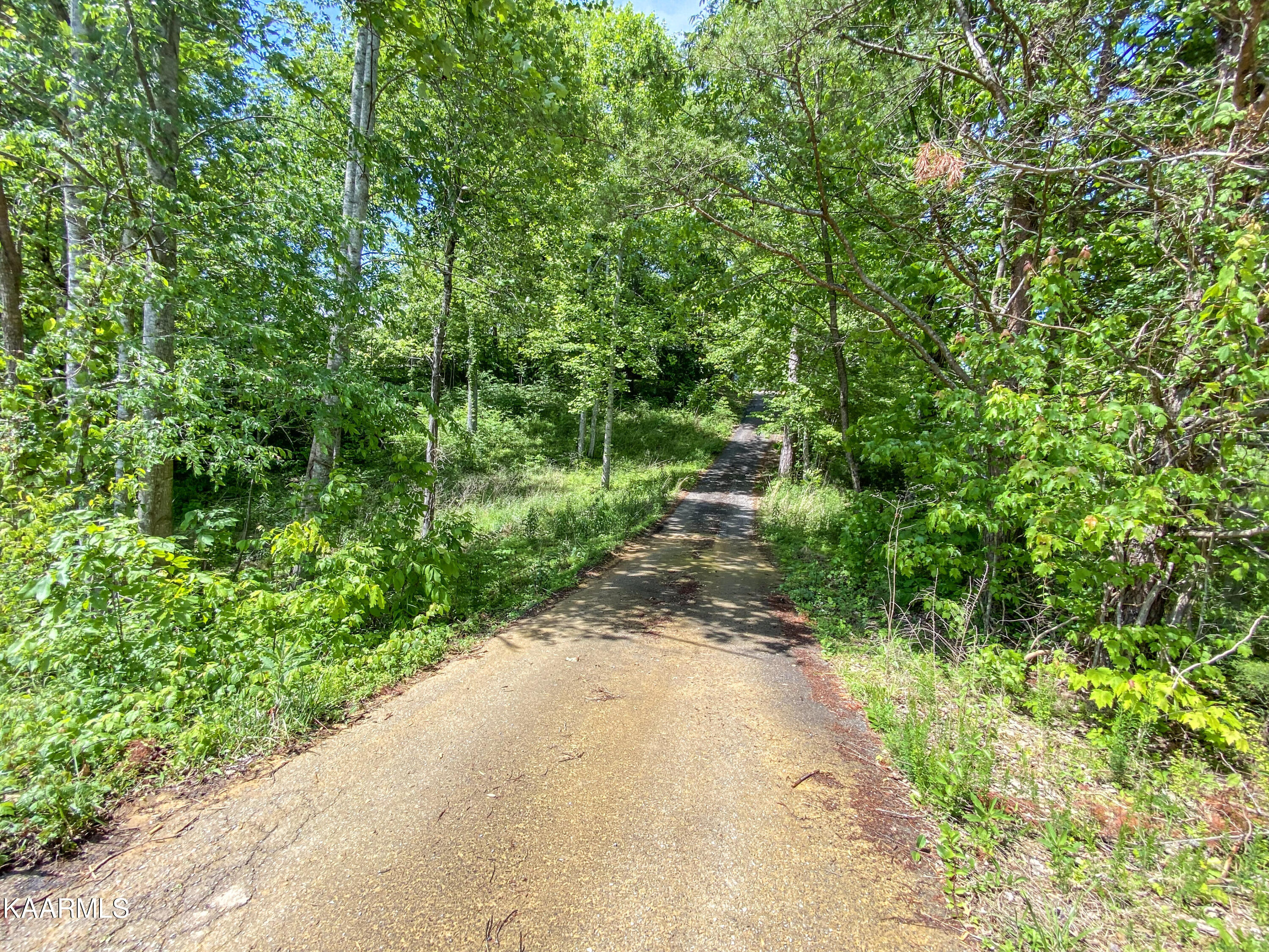 256 Lee Road Tellico Plains, TN 37385 - Photo 47 of 59 42-IMG_4355-Edit