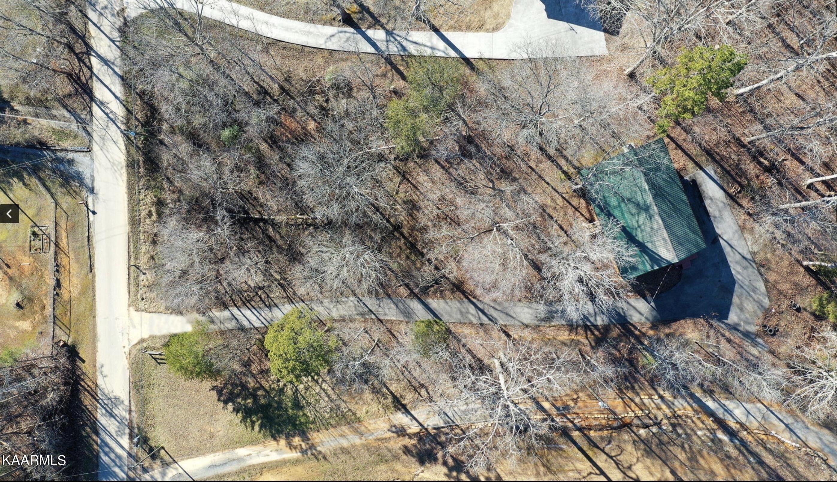 256 Lee Road Tellico Plains, TN 37385 - Photo 53 of 59 Image 5-10-23 at 8.54 AM