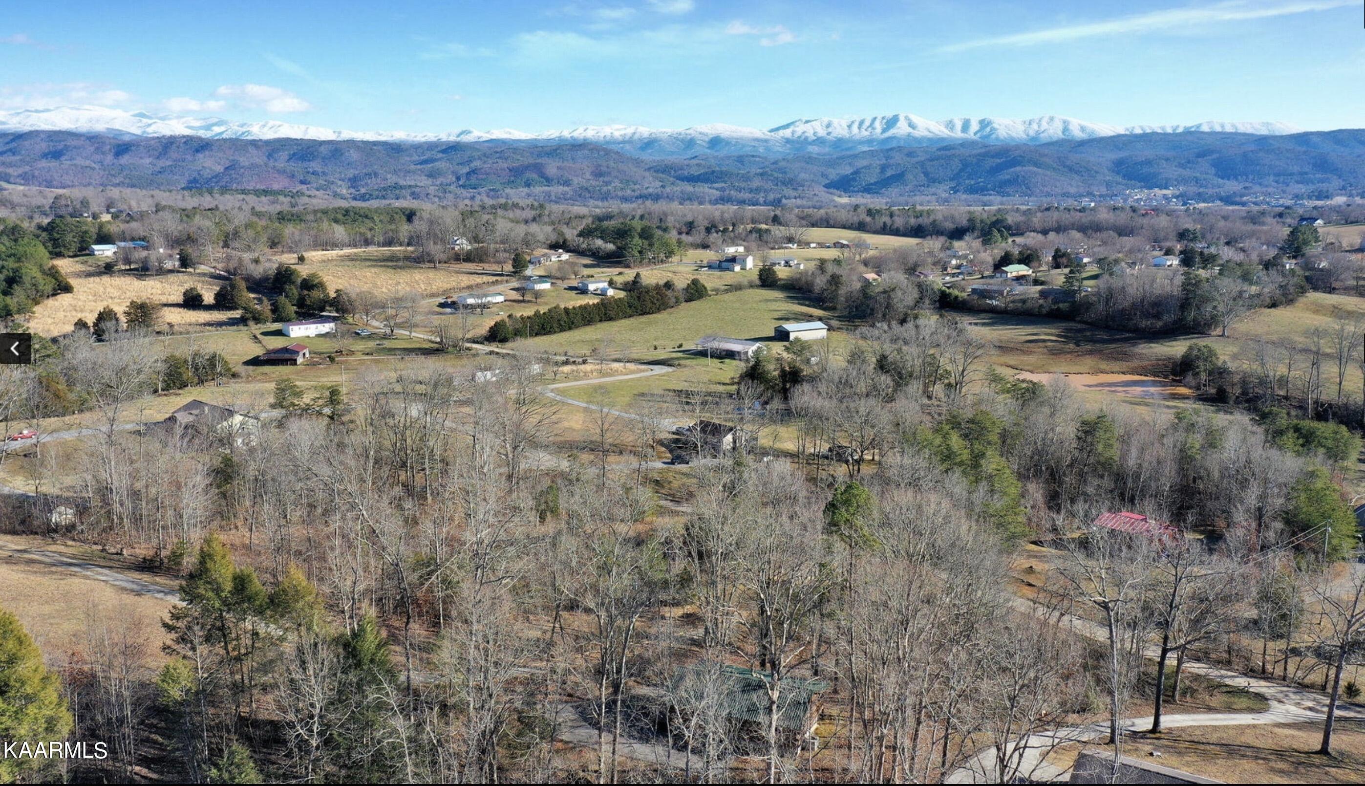 256 Lee Road Tellico Plains, TN 37385 - Photo 54 of 59 Image 5-10-23 at 8.51 AM (2)