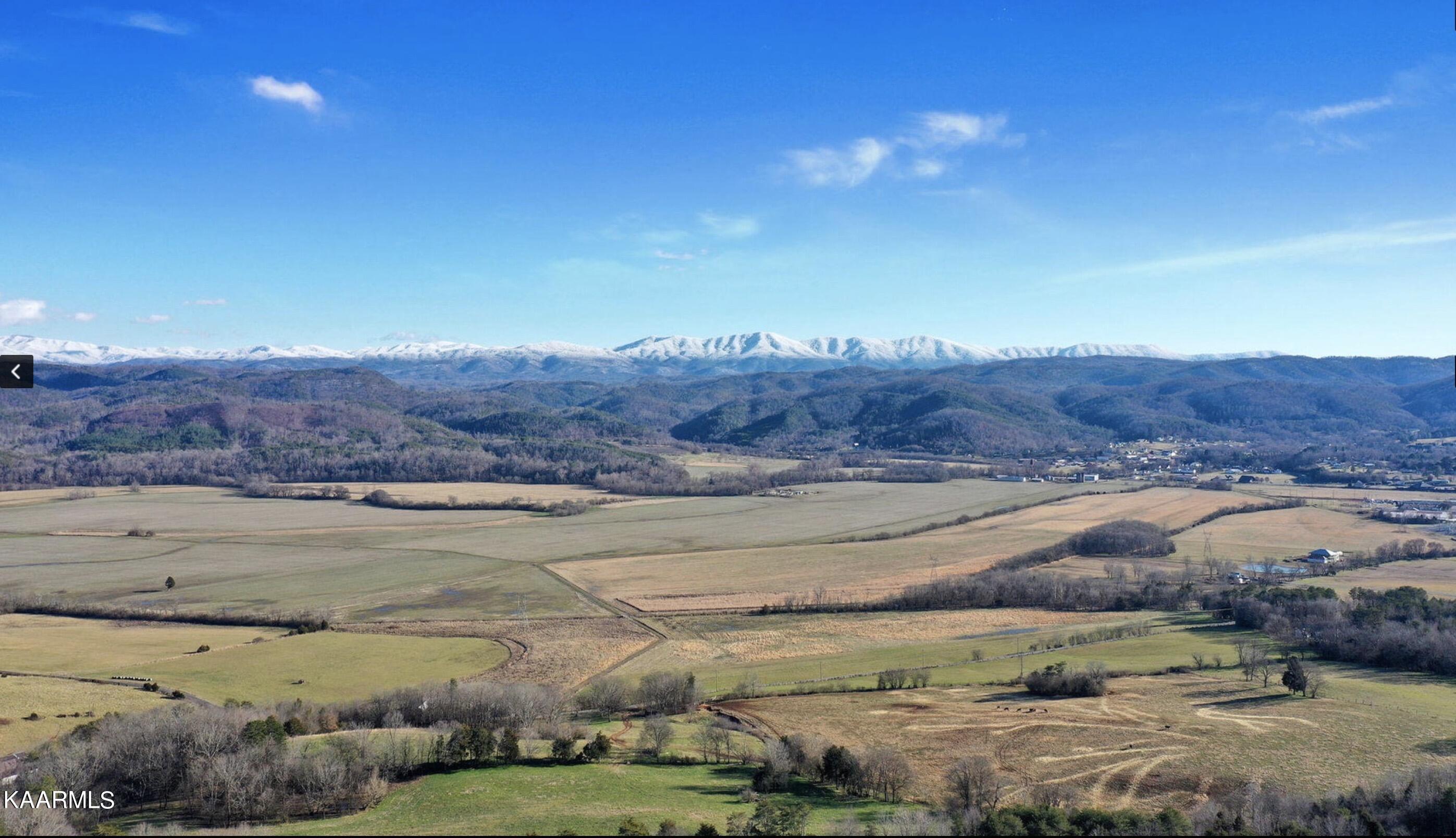 256 Lee Road Tellico Plains, TN 37385 - Photo 55 of 59 Image 5-10-23 at 8.51 AM (1)