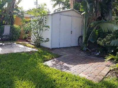 a view of backyard with potted plants and a large tree