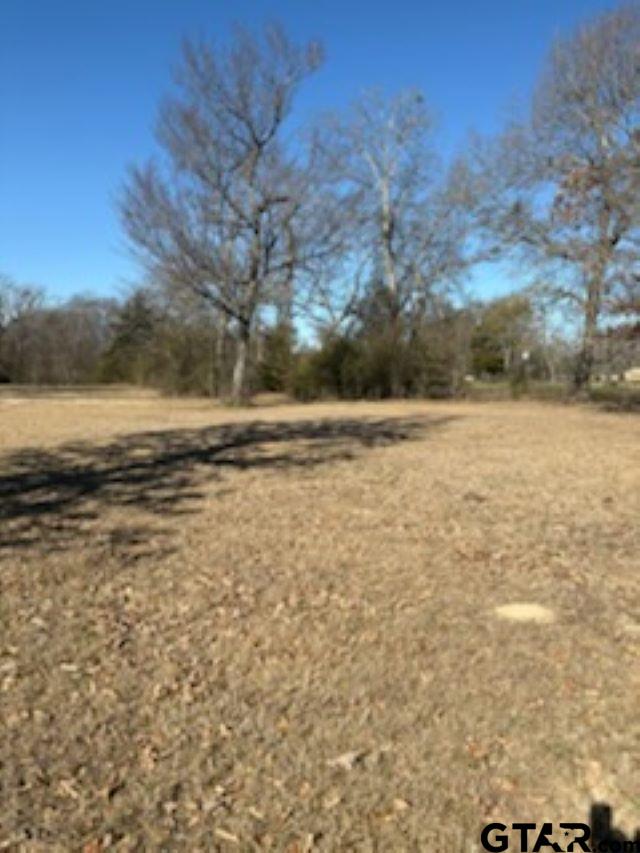 0 Sh 314 Van, TX 75790 - Photo 4 of 6