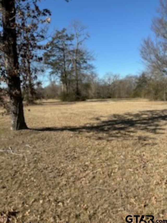 0 Sh 314 Van, TX 75790 - Photo 5 of 6