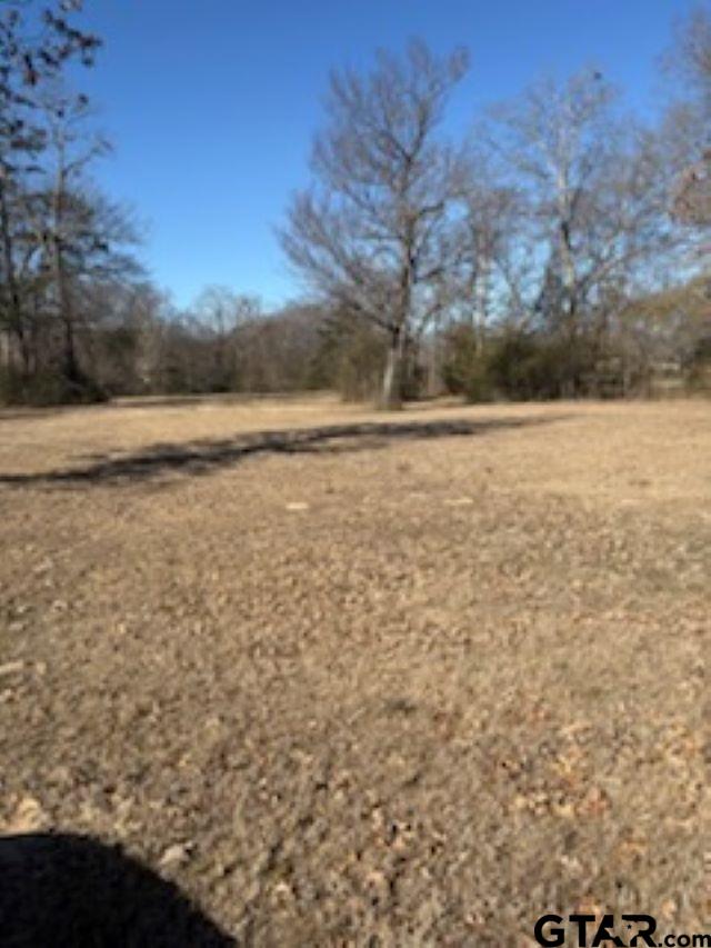 0 Sh 314 Van, TX 75790 - Photo 6 of 6