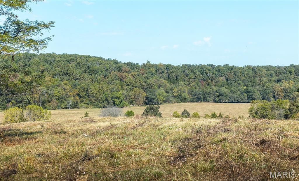 10110 Ashley Creek Road Salem, MO 65560 - Photo 78 of 93