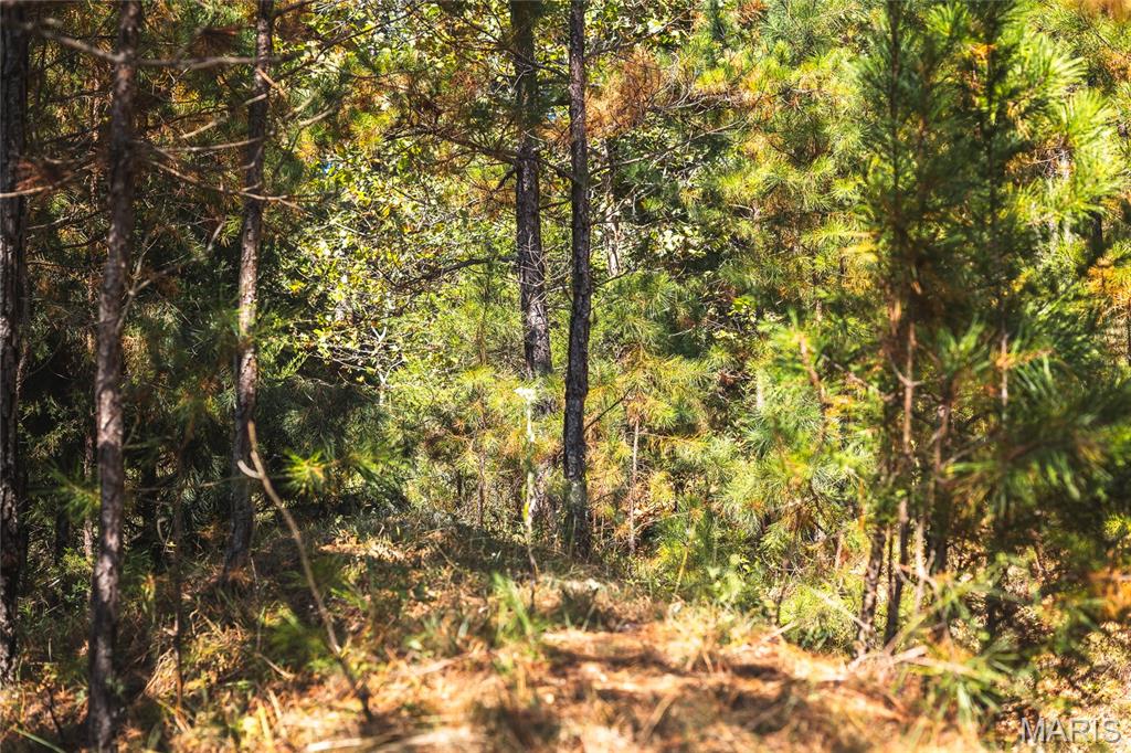 10110 Ashley Creek Road Salem, MO 65560 - Photo 85 of 93