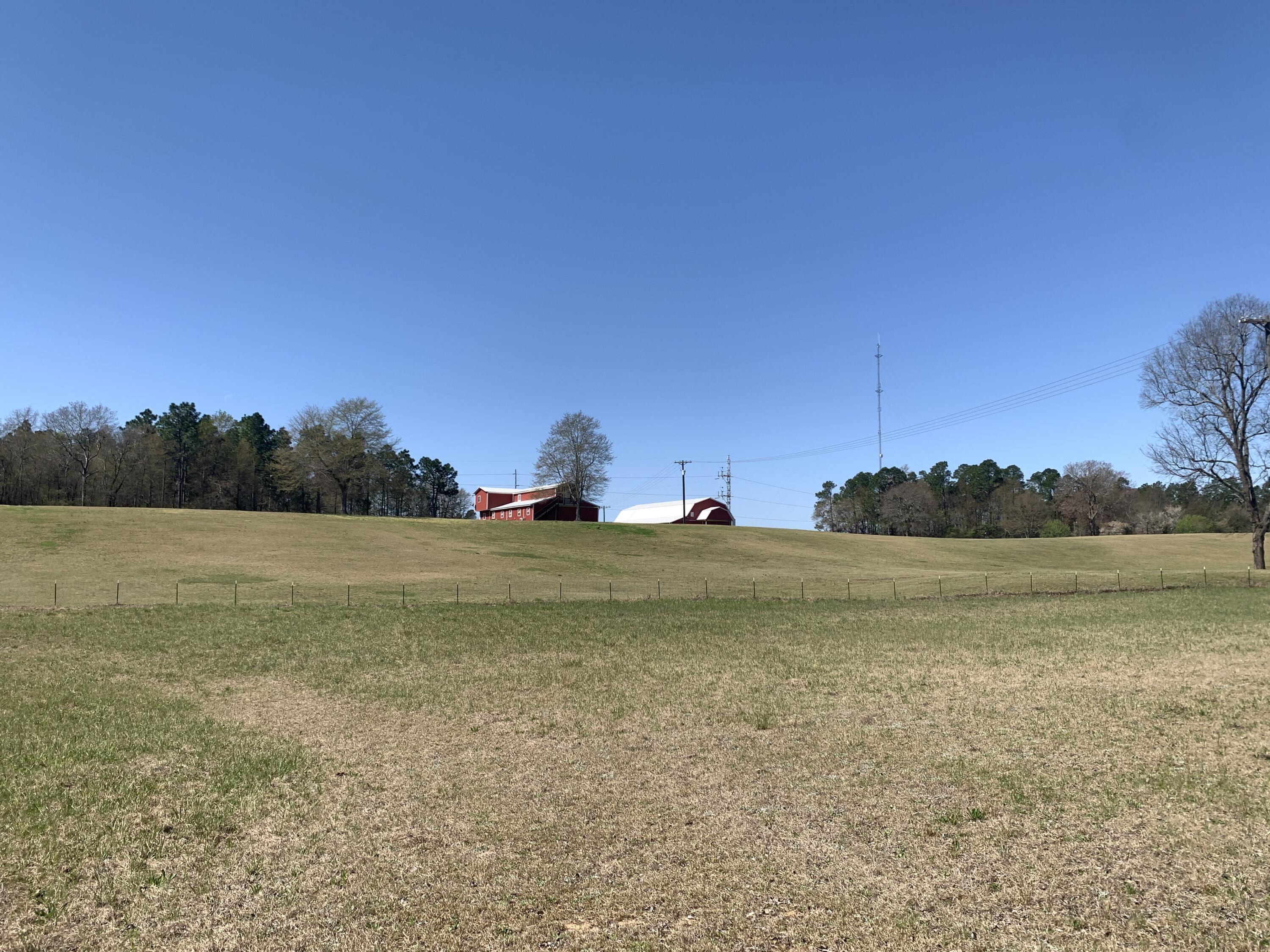 131 Chime Bell Church Road Aiken, SC 29803 - Photo 36 of 85