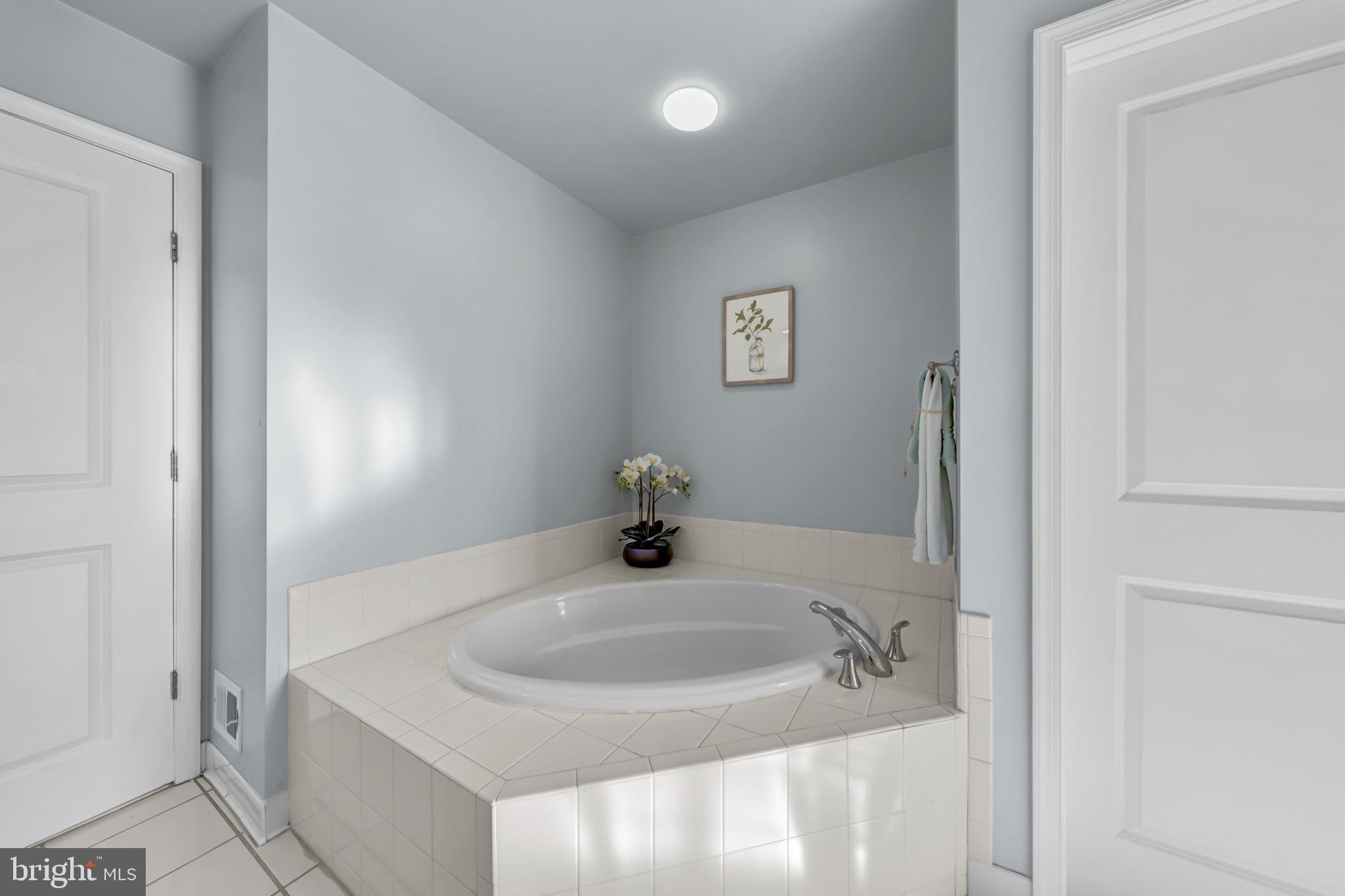 9231 Ribbon Falls Loop Bristow, VA 20136 - Photo 23 of 40 a bathroom with a sink and a mirror