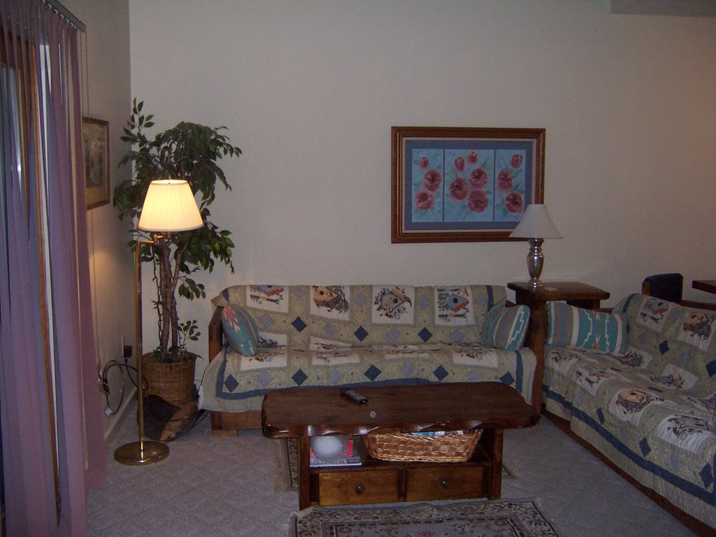 23 Tenney Brook Road, Unit F5 Plymouth, NH 03264 - Photo 4 of 23 Gallery Image 4