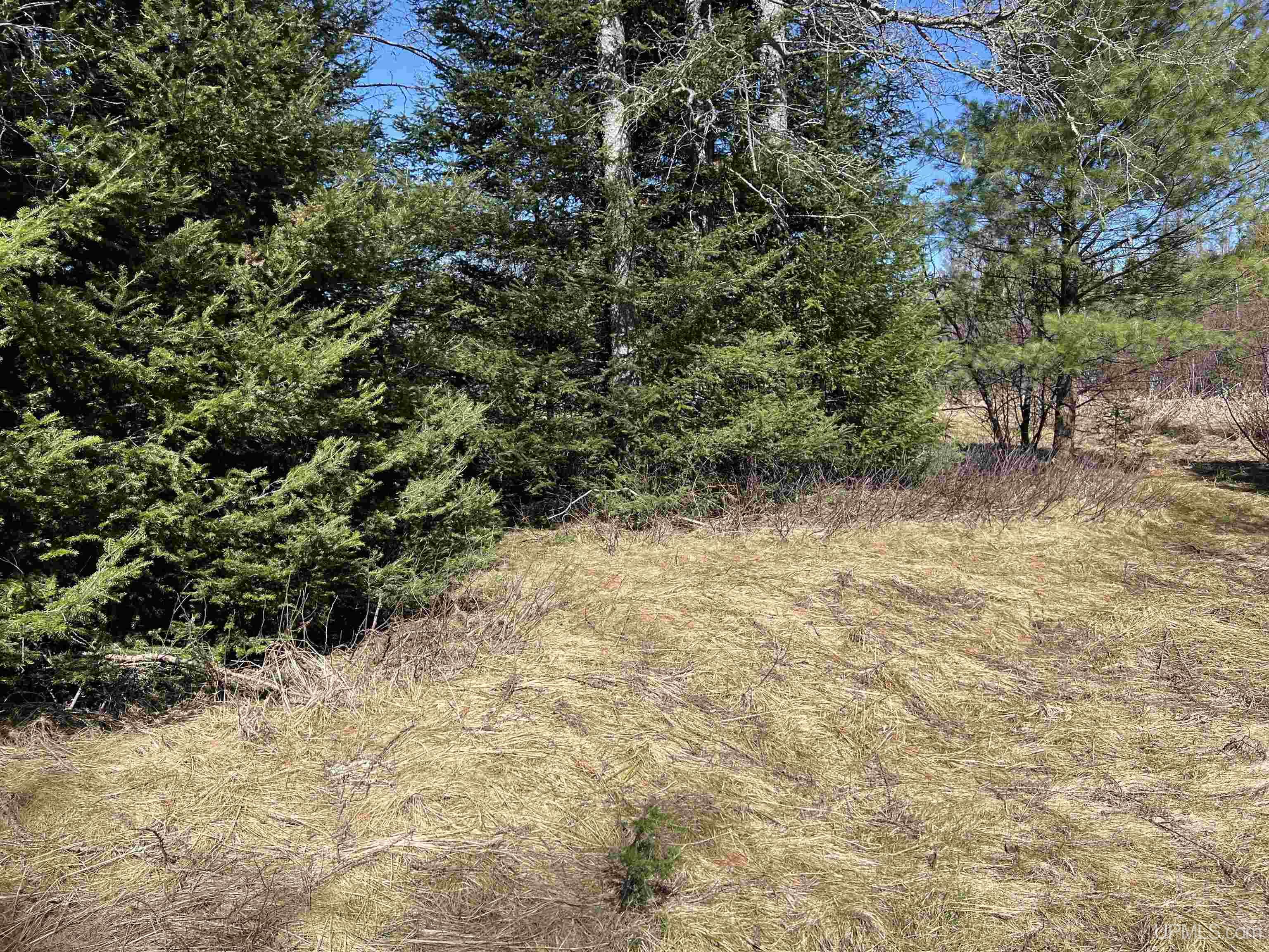 3250 West Co Road Negaunee, MI 49866 - Photo 21 of 26