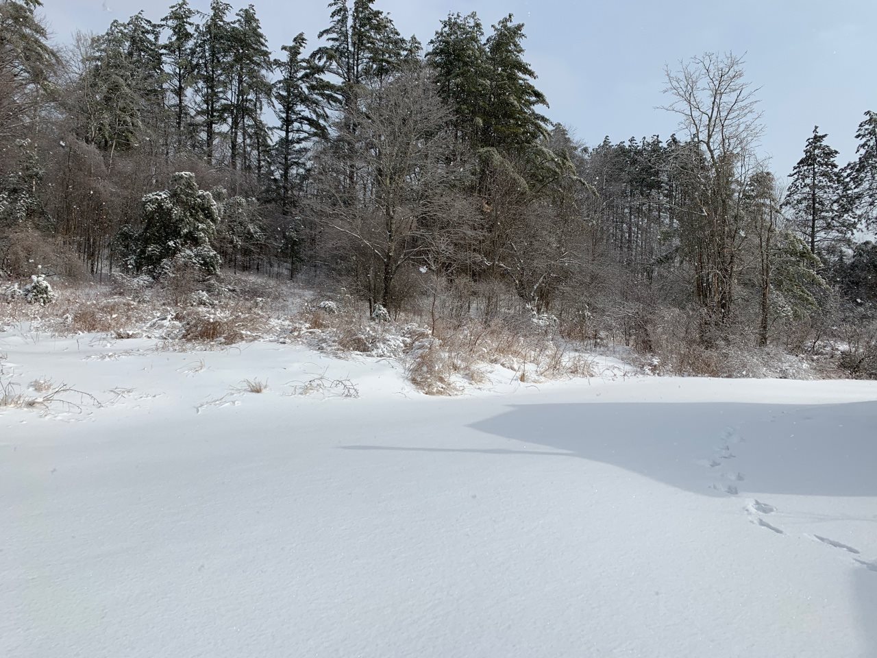 3492 Windham Hill Road Windham, VT 05359 - Photo 10 of 10