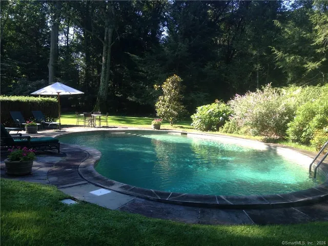 a view of a forest with a tree