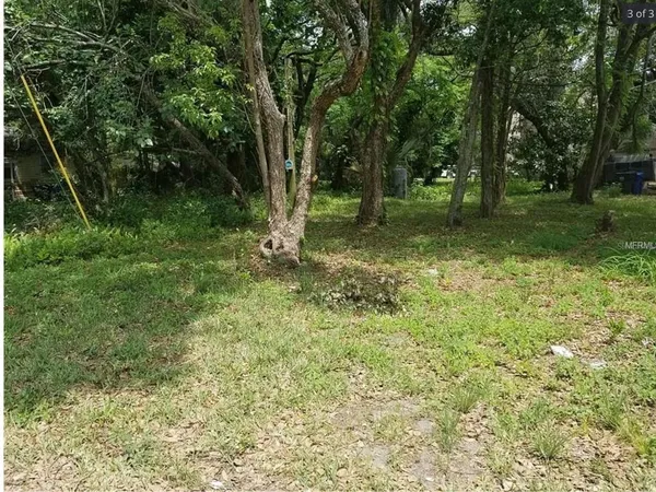a view of outdoor space with trees all around