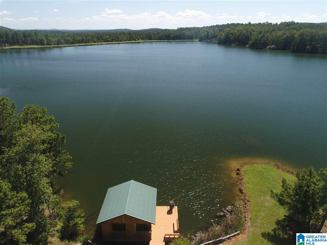 827 Colleton Forest Way, Unit 20 ACRES Vincent, AL 35178 - Photo 2 of 31