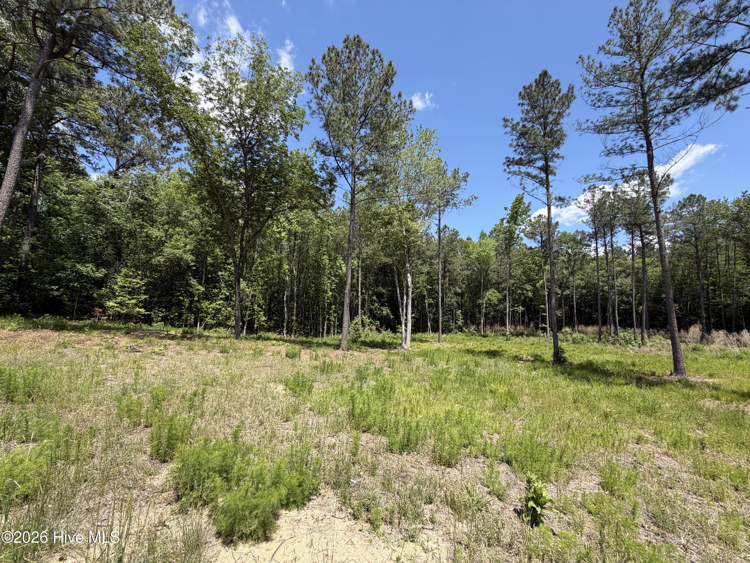 979 Aiken Road Vass, NC 28394 - Photo 2 of 26 979 Aiken Rd 2