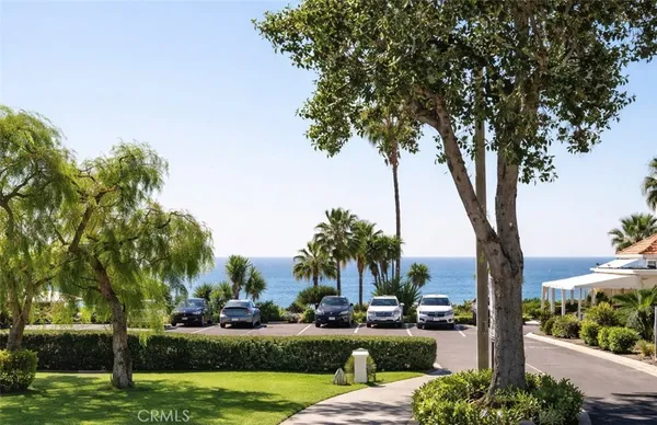a view of a park with palm trees