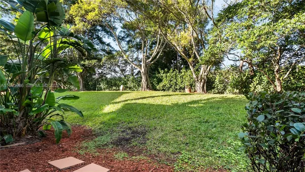 a view of a yard with large trees