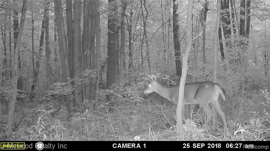 1805 Pierce Road Caro, MI 48723 - Photo 31 of 32