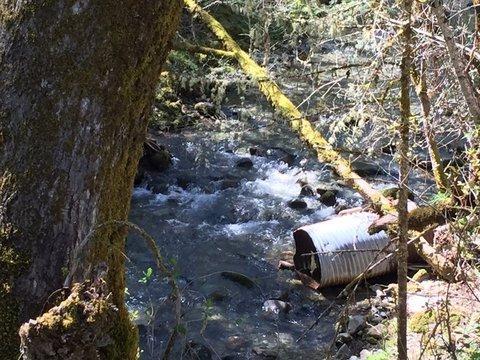 2091 Fish Hatchery Road Grants Pass, OR 97527 - Photo 12 of 30 Additional Photo