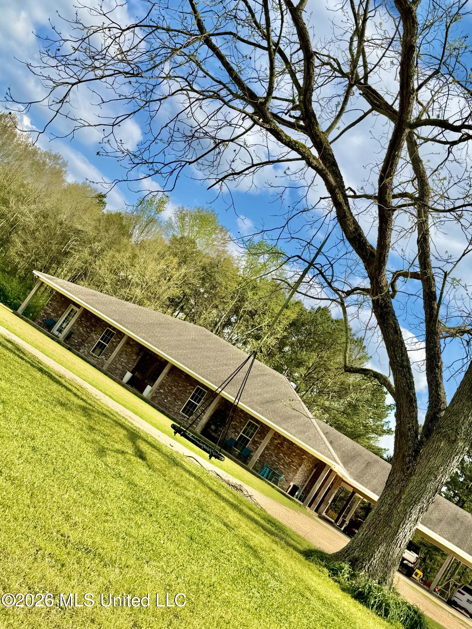 464 Goss Bunker Hill Road Columbia, MS 39429 - Photo 5 of 32 pecan tree