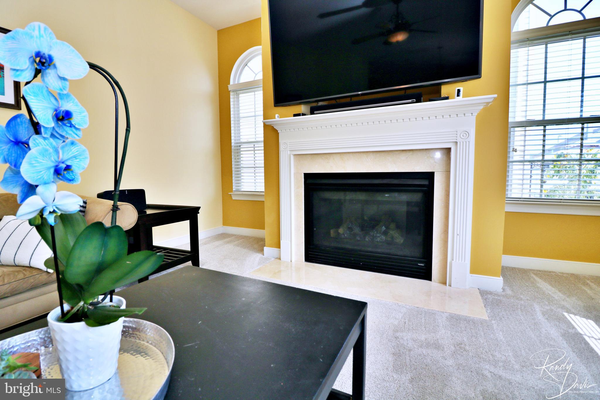 66 Watercourse Drive Ranson, WV 25438 - Photo 31 of 82 Family Room with Gas Fireplace